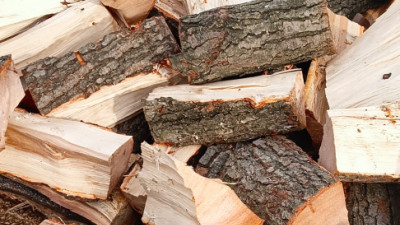 Drewno kominkowe opałowe
