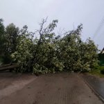 fot. KP PSP w Tucholi