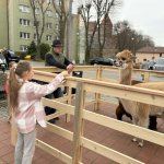 fot. Klaudia Cieplińska - Bednarek 