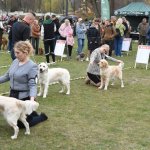 fot. Stanisław Kamiński