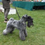 fot. Stanisław Kamiński