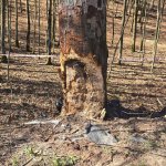 Fot. KP PSP w Kościerzynie