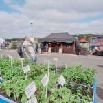 fot. Bartek Zakrzewski/Weekend FM