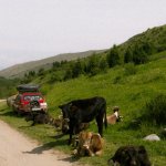 fot. z archiwum gości programu