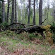 fot. Zbigniew Prochowski