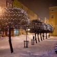 fot. Daniel Frymark