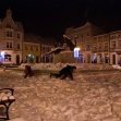 fot. Andrzej Drelich