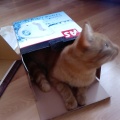 Micek