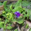 fot. Danuta Iwanowska