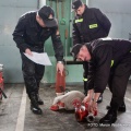 Fot. Marcin Wr&oacute;blewski, KPPSP Chojnice