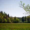 Fot. Bartosz Ostrowski