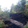 fot. KPPSP Tuchola