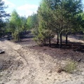fot. KPPSP Tuchola