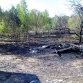 fot. KPPSP Tuchola