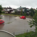 internauta Tomek