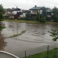 internauta Tomek