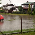 internauta Tomek