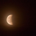 Godz.23:36 - Fot. Janusz/Fotokom&oacute;rka