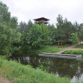Fot. KrOg
