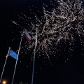 fot. apd