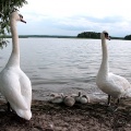 fot. Zbigniew Prochowski/fotokom&oacute;rka