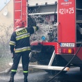 fot. Daniel Frymark