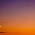 fot. Daniel Frymark
