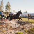 fot. Daniel Frymark