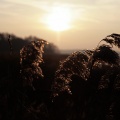 fot. fotokom&oacute;rka