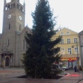 fot. Marcin Pacyno
