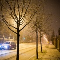fot. Daniel Frymark
