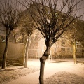 fot. Daniel Frymark