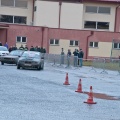 fot. apd