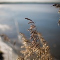 fot. Daniel Frymark