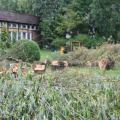 fot. M. Drejer