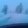 fot. M. Pacyno