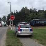 fot. K. Cieplińska-Bednarek