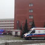 fot. K. Cieplińska-Bednarek