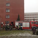 fot. K. Cieplińska-Bednarek