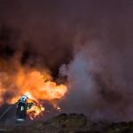 fot. Daniel Frymark