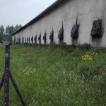 fot. OSP Debrzno