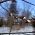 Fot.: Ewelina Dommer  