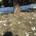 Fot.: Bronek Szyszka