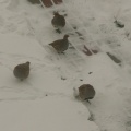 Fot. Agnieszka Zbielska