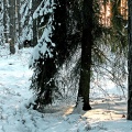 fot. Zbigniew Prochowski