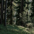 fot. Zbigniew Prochowski