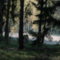 fot. Zbigniew Prochowski